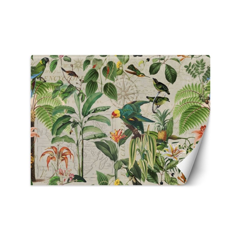 Exotic Wallpapers - Green birds in the tropics Andrea Haase | FEEBY