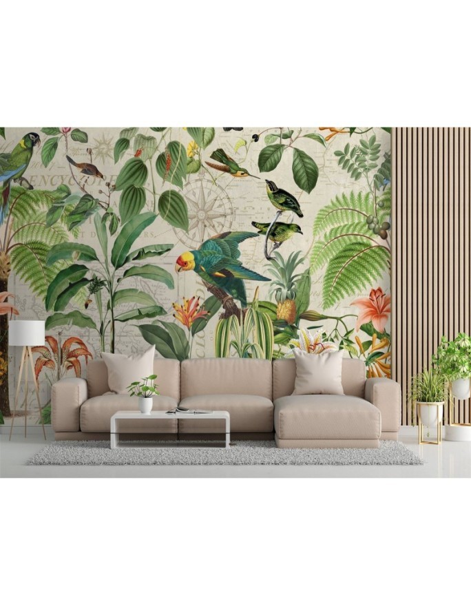 Exotic Wallpapers - Green birds in the tropics Andrea Haase | FEEBY