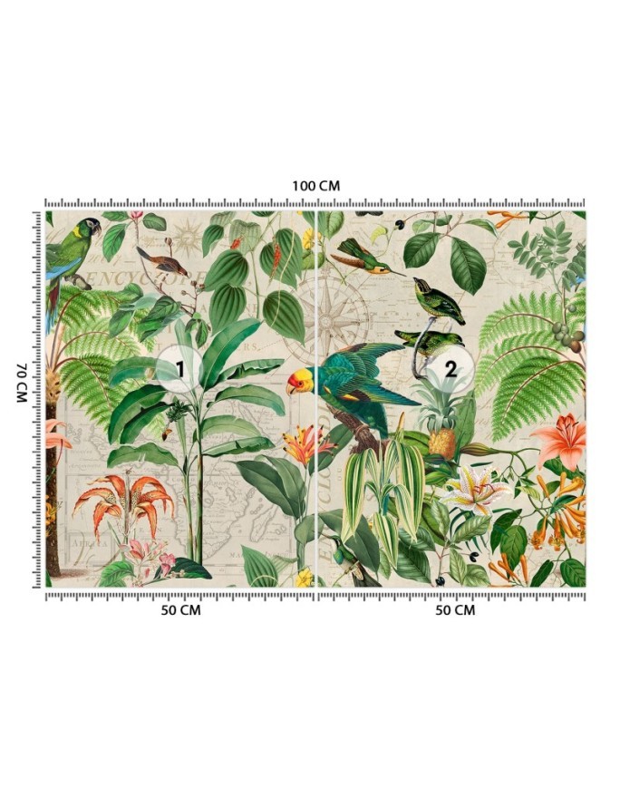Exotic Wallpapers - Green birds in the tropics Andrea Haase | FEEBY