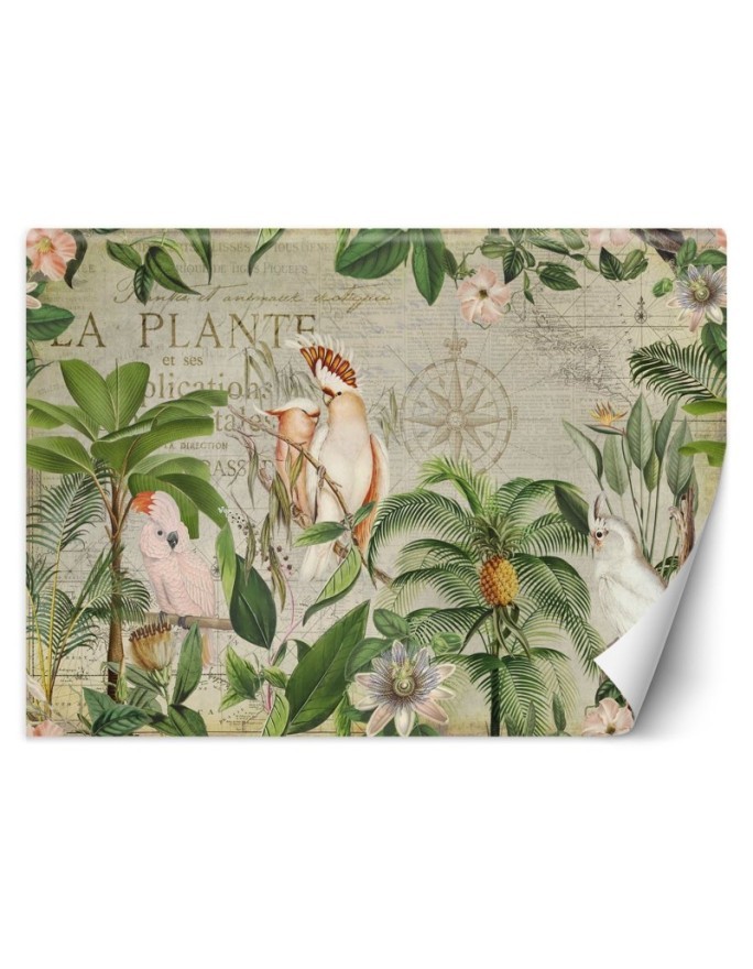Most fashionable Wallpapers - Four parrots and an old map Andrea Haase | FEEBY