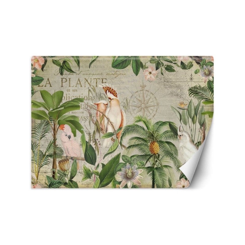 Most fashionable Wallpapers - Four parrots and an old map Andrea Haase | FEEBY