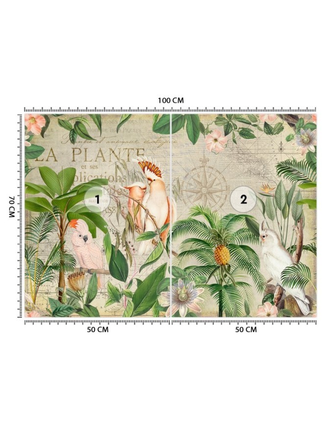 Most fashionable Wallpapers - Four parrots and an old map Andrea Haase | FEEBY