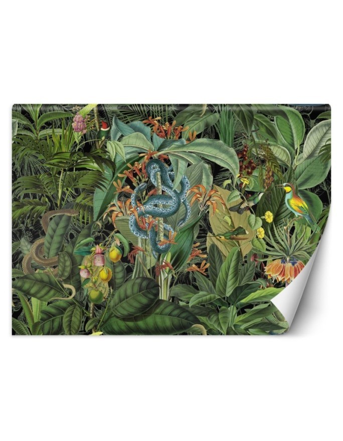 Modern Wallpapers - Snake and dark tropics Andrea Haase | FEEBY