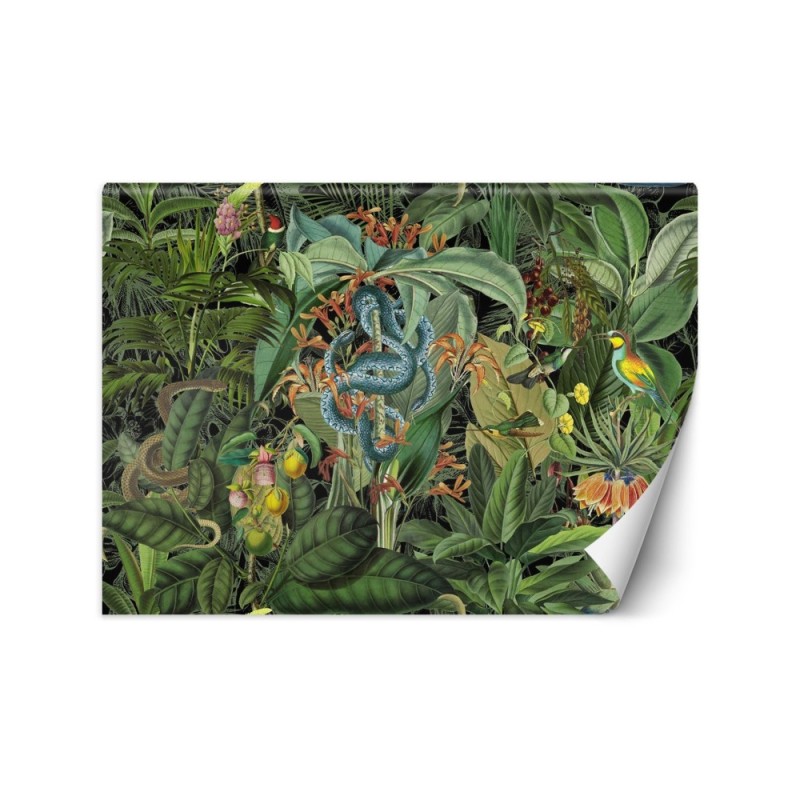 Modern Wallpapers - Snake and dark tropics Andrea Haase | FEEBY