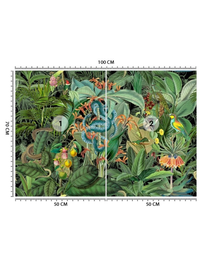 Modern Wallpapers - Snake and dark tropics Andrea Haase | FEEBY