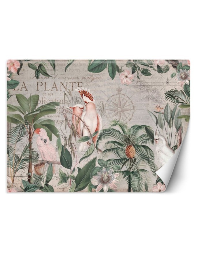 Most fashionable wall murals - 4 parrots and tropical plants Andrea Haase | FEEBY