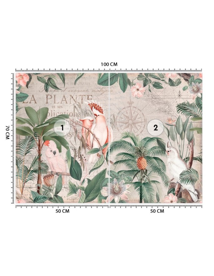 Most fashionable wall murals - 4 parrots and tropical plants Andrea Haase | FEEBY