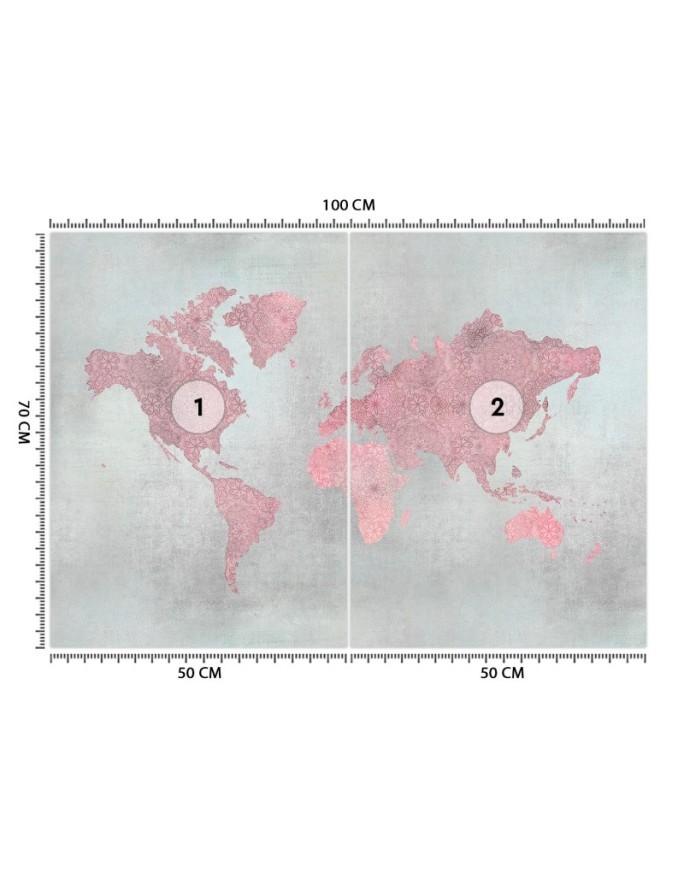 Original wall murals - Pink map of the continents Andrea Haase | FEEBY