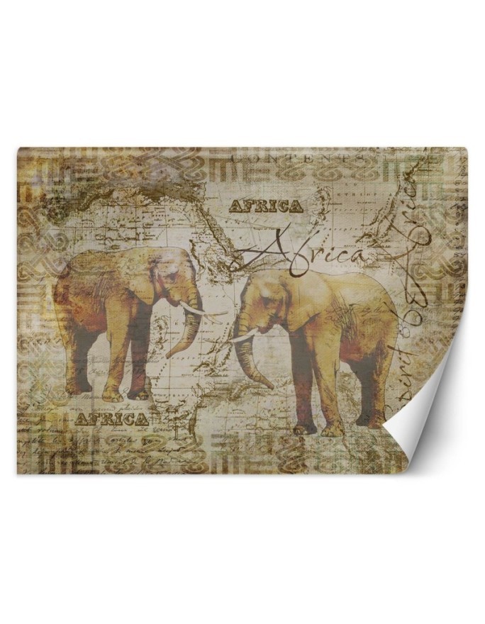 Unique wall murals - Old map and vintage elephants Andrea Haase | FEEBY