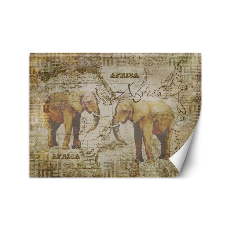 Unique wall murals - Old map and vintage elephants Andrea Haase | FEEBY