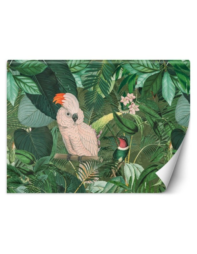 Inspirational wall murals - Parrots in the tropics Andrea Haase | FEEBY