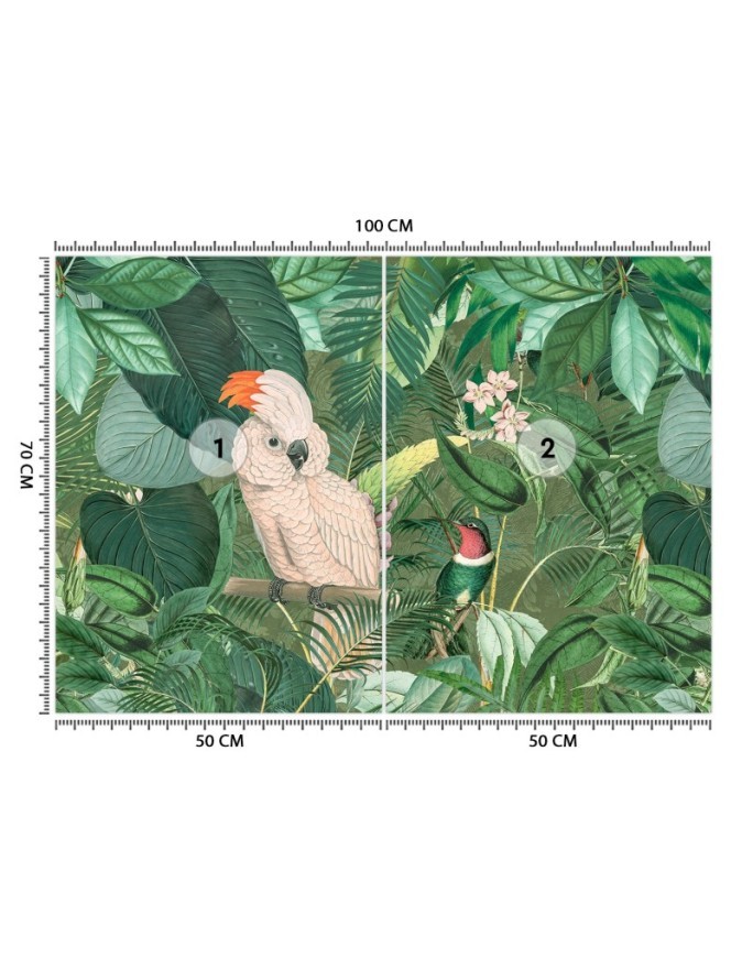 Inspirational wall murals - Parrots in the tropics Andrea Haase | FEEBY