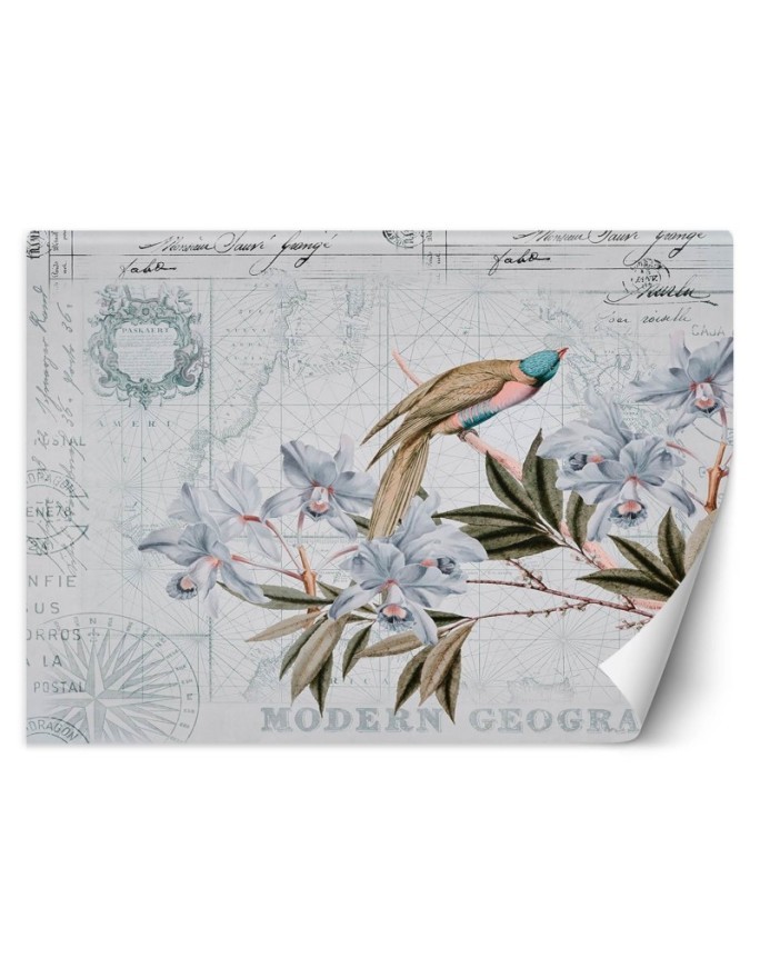 Exotic wall murals - Bird on a branch blue Andrea Haase | FEEBY