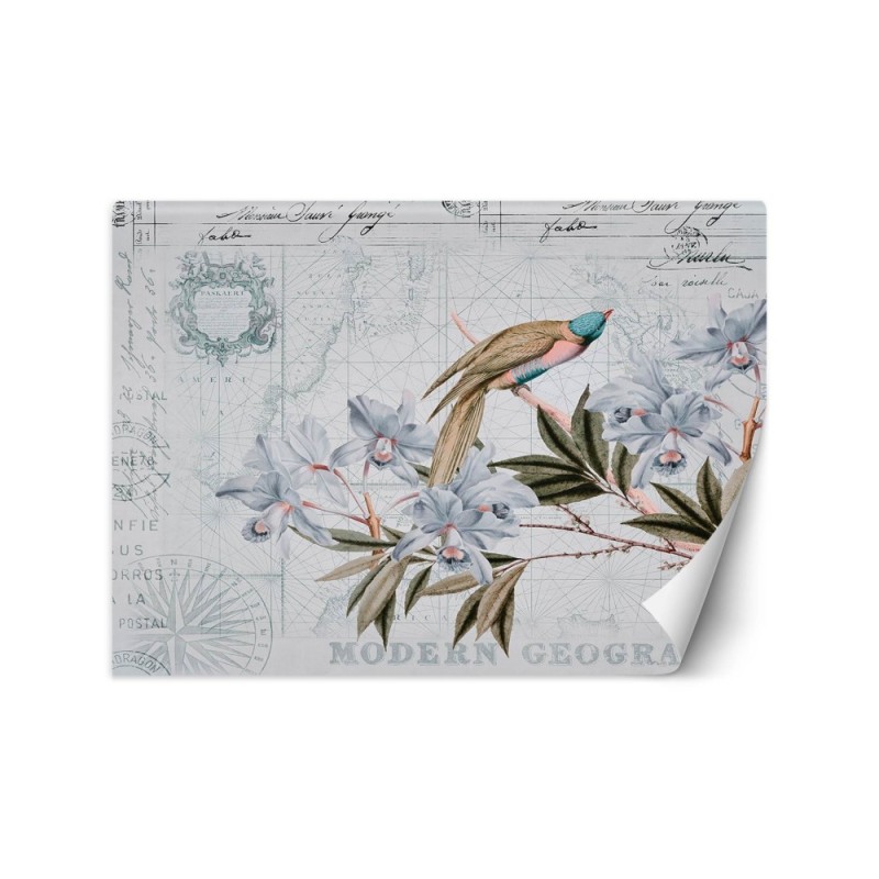 Exotic wall murals - Bird on a branch blue Andrea Haase | FEEBY