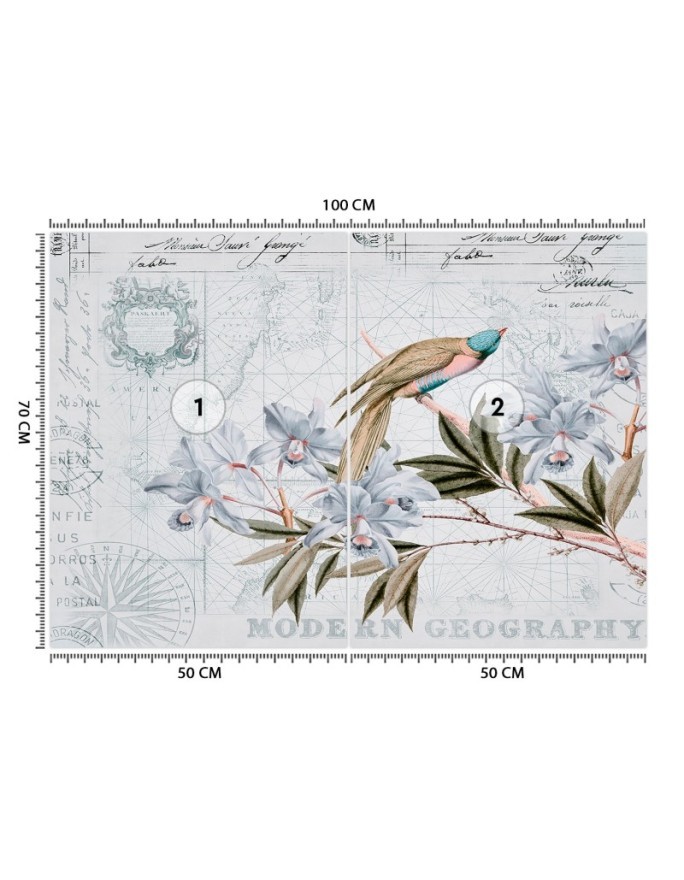 Exotic wall murals - Bird on a branch blue Andrea Haase | FEEBY