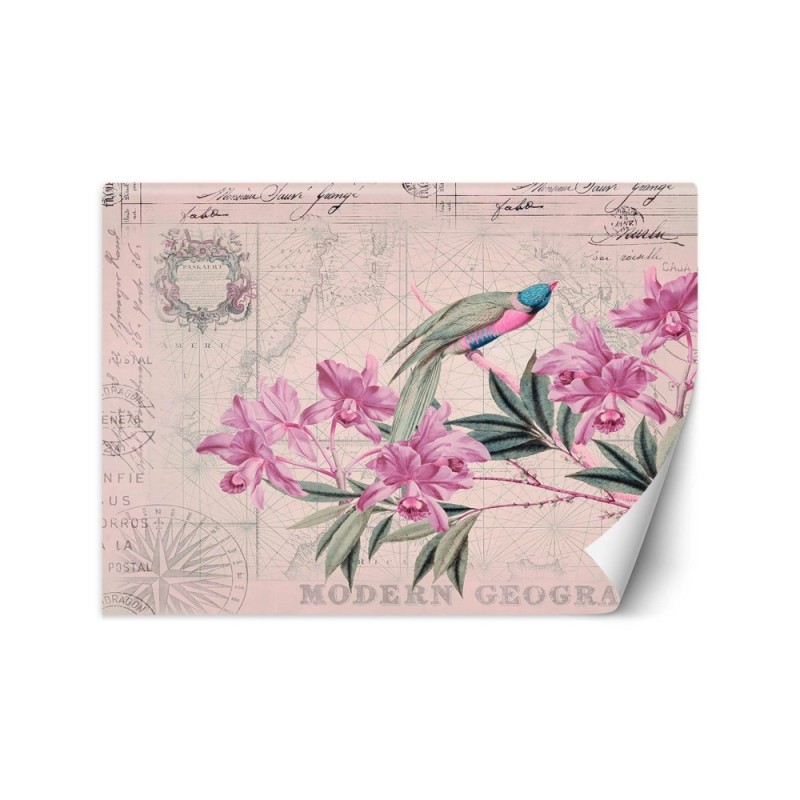 Original wall mural - Bird on a branch pink Andrea Haase | FEEBY