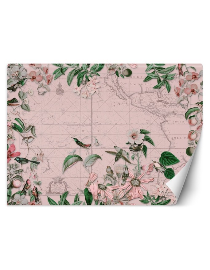 Wall mural - Birds around the continents map pink Andrea Haase | FEEBY
