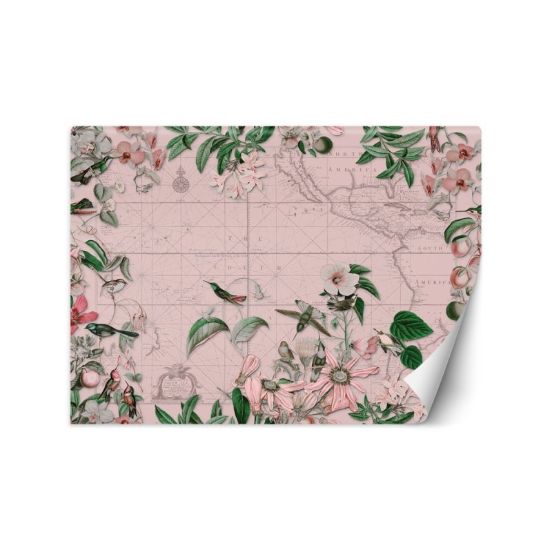Wall mural - Birds around the continents map pink Andrea Haase | FEEBY