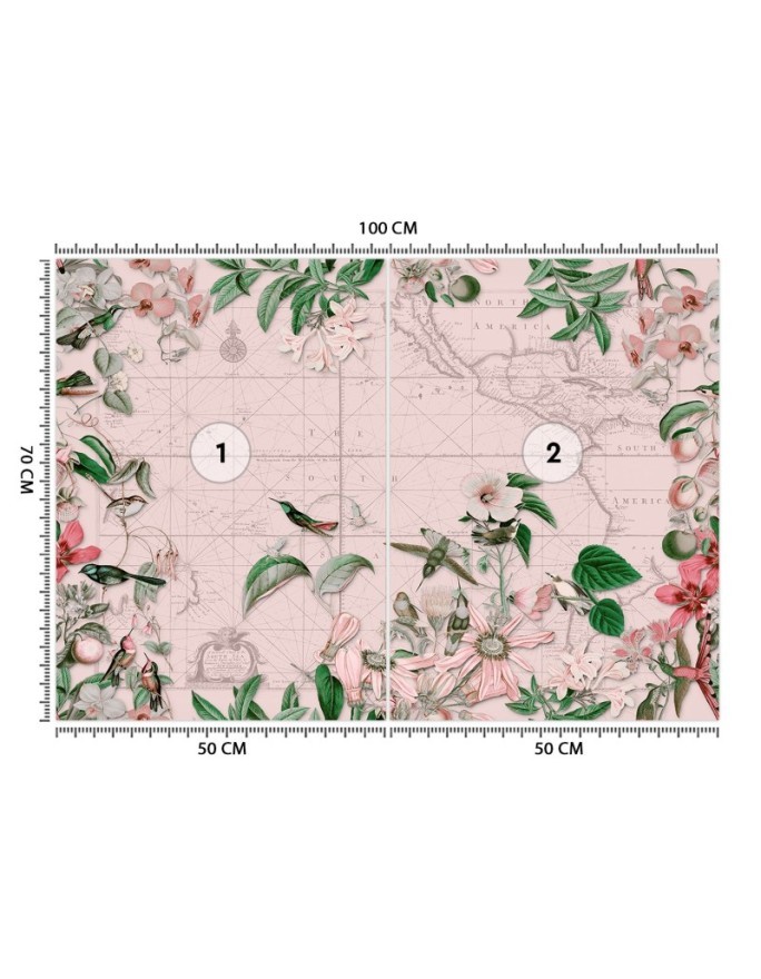 Wall mural - Birds around the continents map pink Andrea Haase | FEEBY