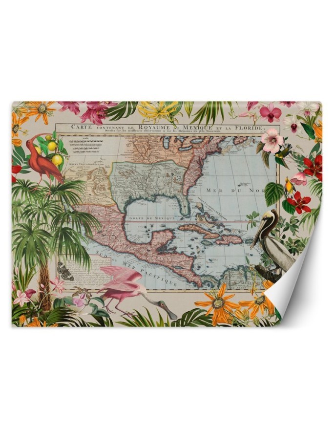 Wall mural - Colour map palm trees birds Andrea Haase | FEEBY
