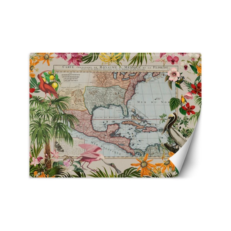 Wall mural - Colour map palm trees birds Andrea Haase | FEEBY