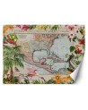 Wall mural - Colour map palm trees birds Andrea Haase | FEEBY