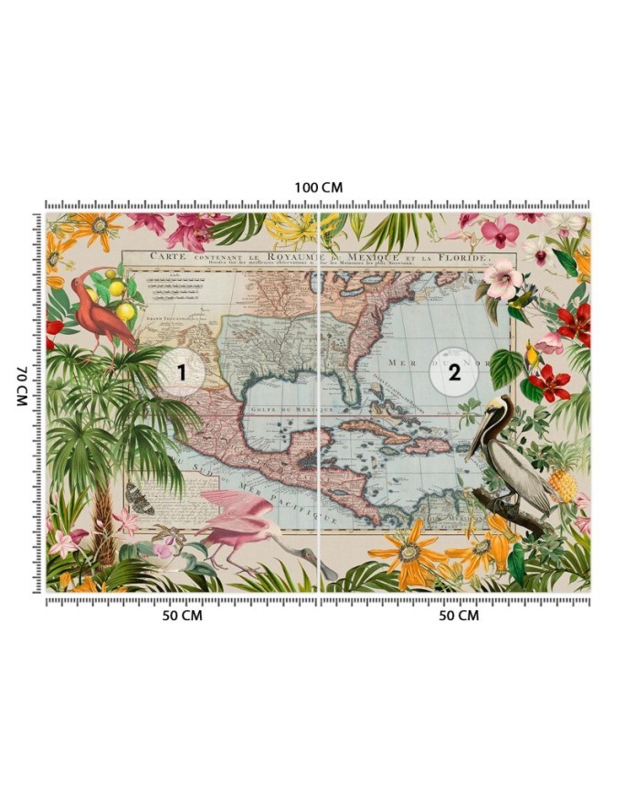 Wall mural - Colour map palm trees birds Andrea Haase | FEEBY