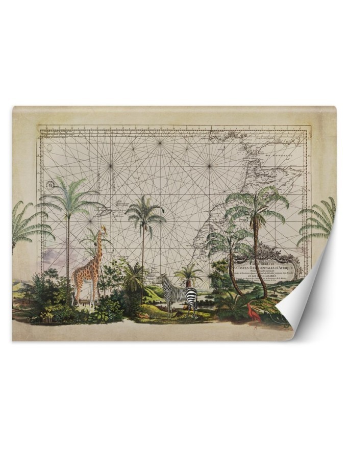 Designer wall mural - Animals from Africa Andrea Haase | FEEBY