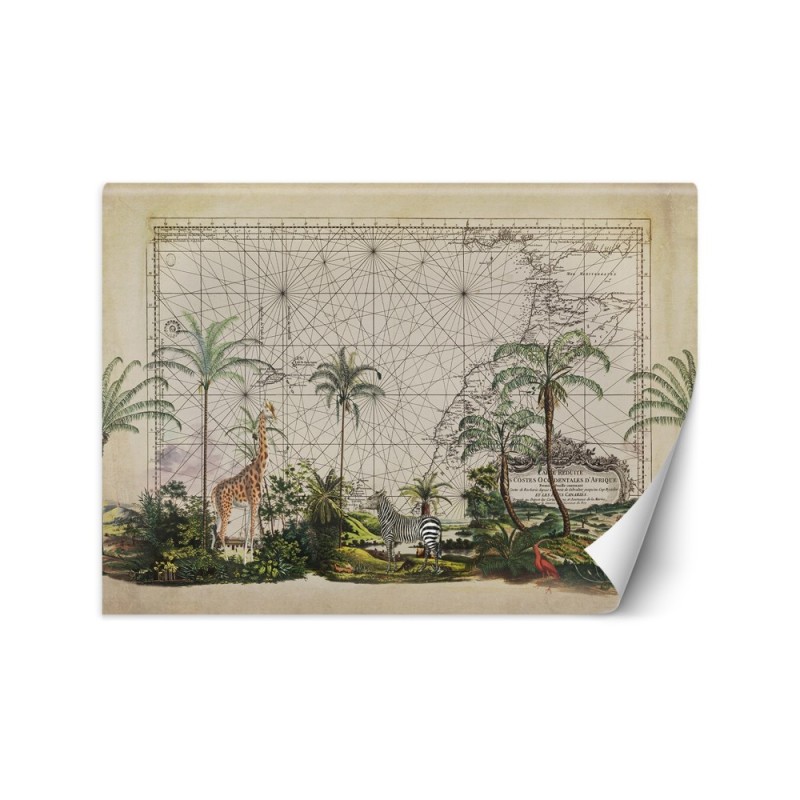 Designer wall mural - Animals from Africa Andrea Haase | FEEBY