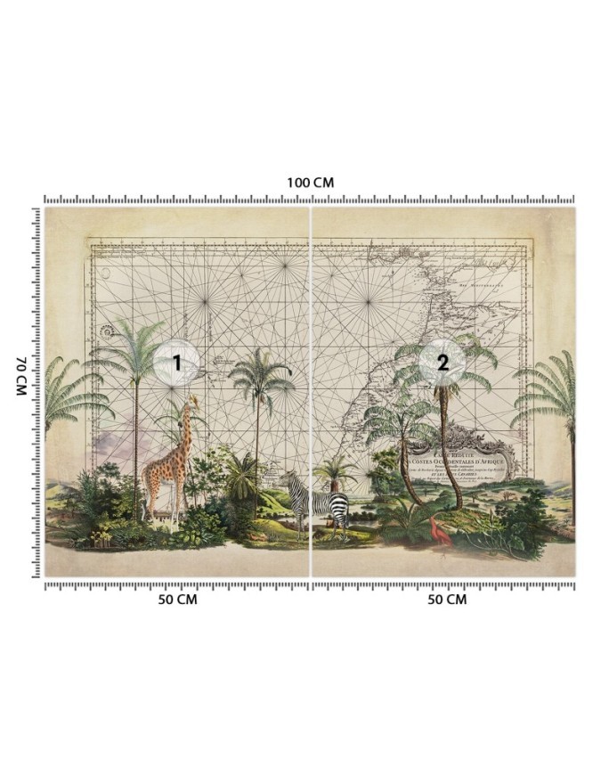 Designer wall mural - Animals from Africa Andrea Haase | FEEBY