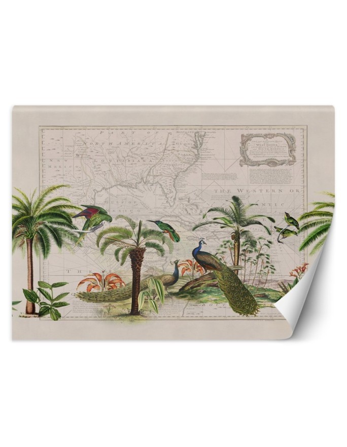 Exotic wall mural - African peacocks Andrea Haase | FEEBY
