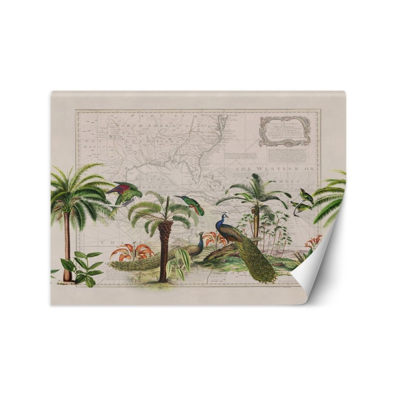 Exotic wall mural - African peacocks Andrea Haase | FEEBY