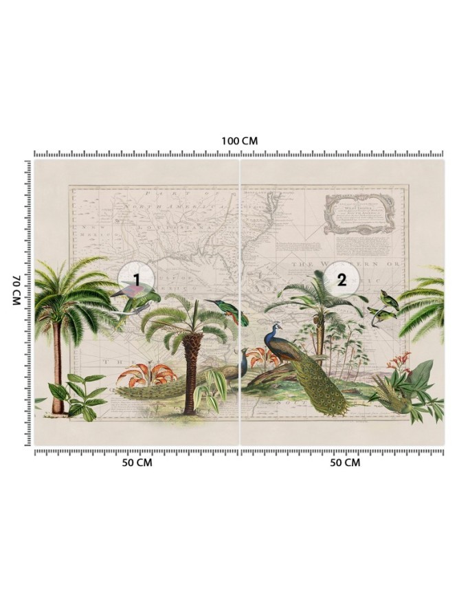 Exotic wall mural - African peacocks Andrea Haase | FEEBY