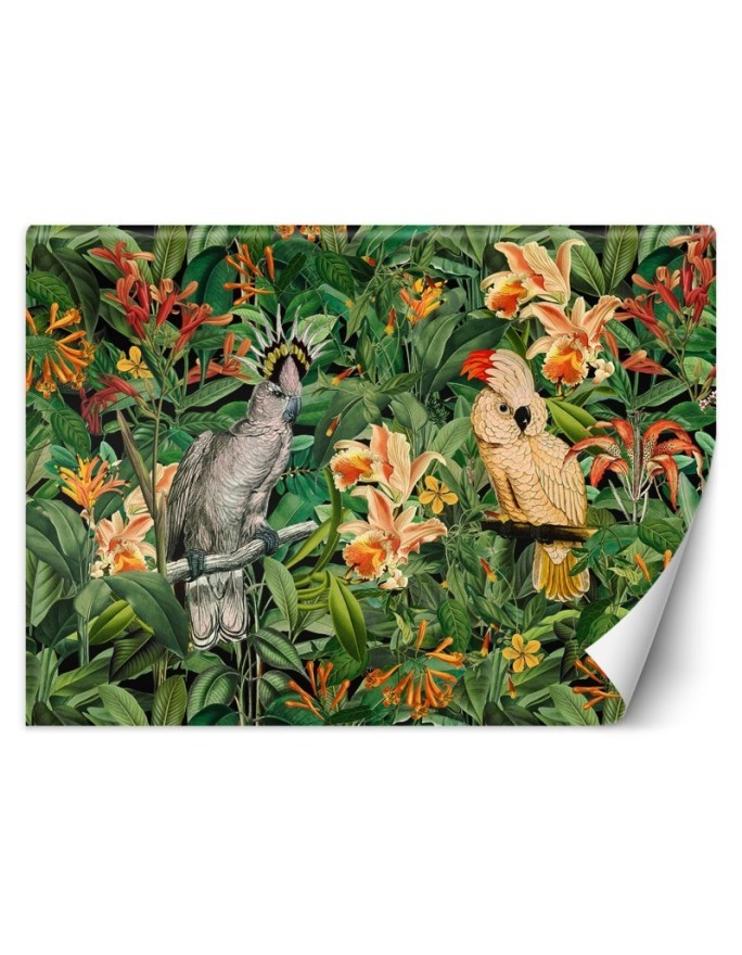 Wall mural - Large parrots in the green tropics Andrea Haase | FEEBY