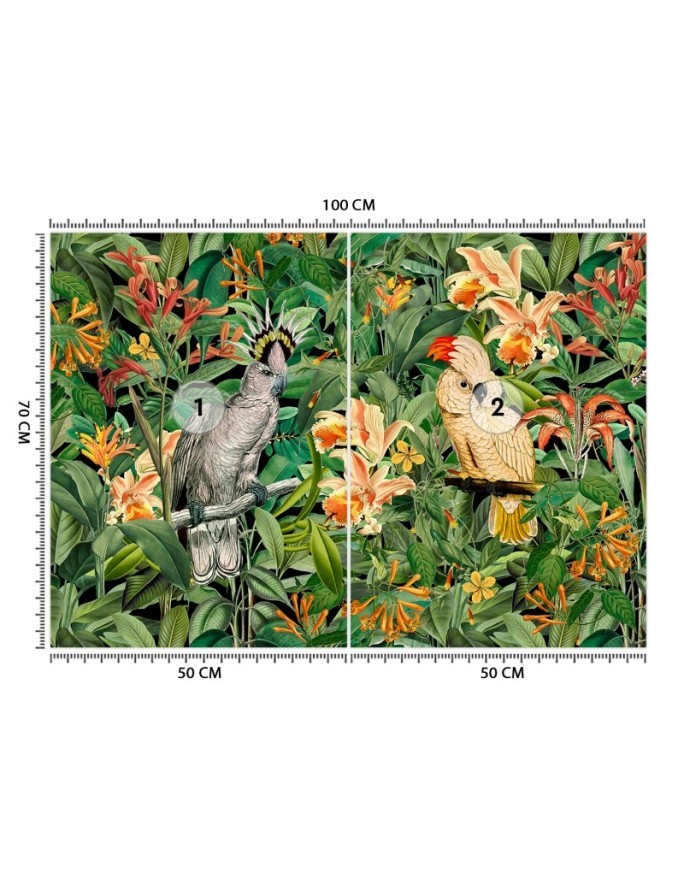 Wall mural - Large parrots in the green tropics Andrea Haase | FEEBY