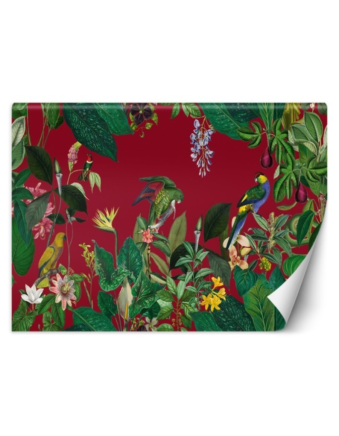 Beautiful Wallpapers - Red tropics Andrea Haase | FEEBY