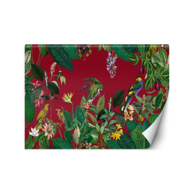 Beautiful Wallpapers - Red tropics Andrea Haase | FEEBY