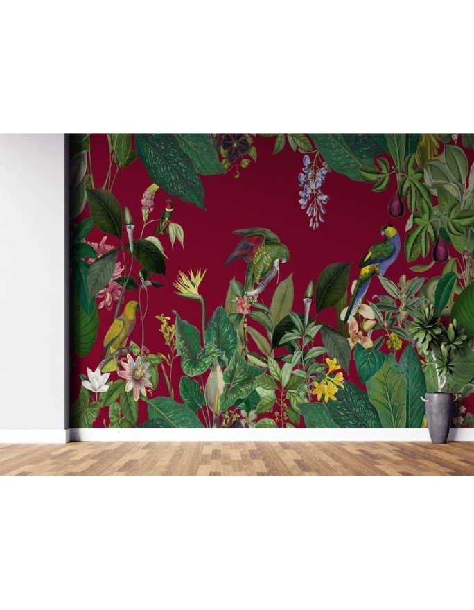 Beautiful Wallpapers - Red tropics Andrea Haase | FEEBY