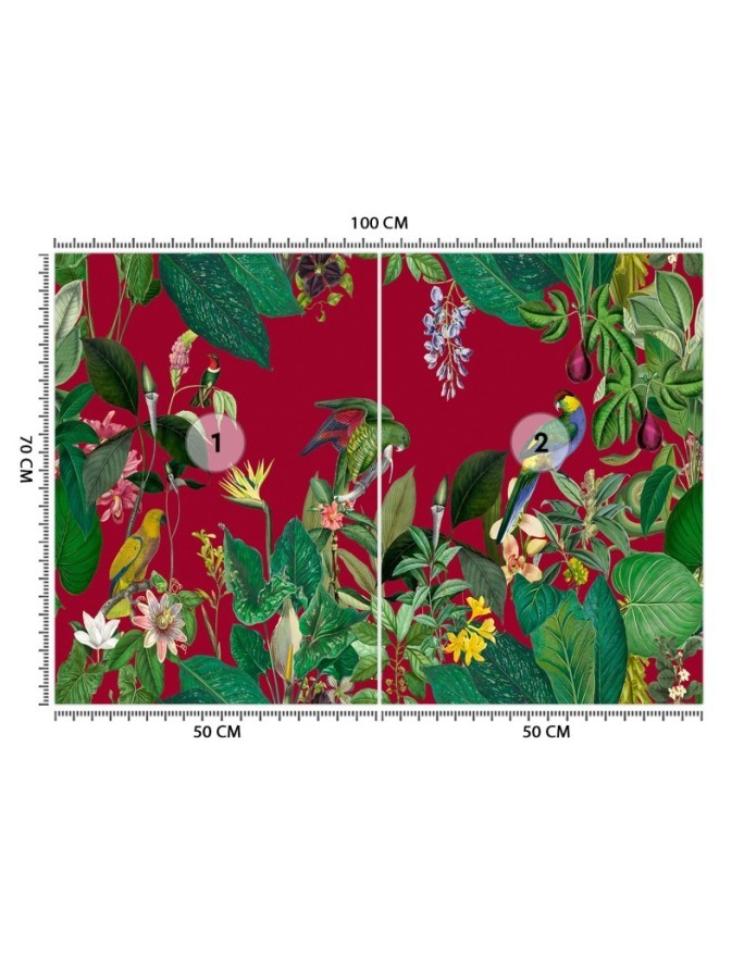 Beautiful Wallpapers - Red tropics Andrea Haase | FEEBY
