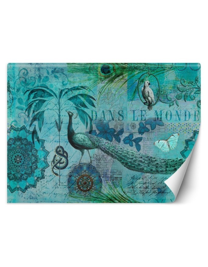Original Wallpapers - Turquoise old postcard Andrea Haase | FEEBY