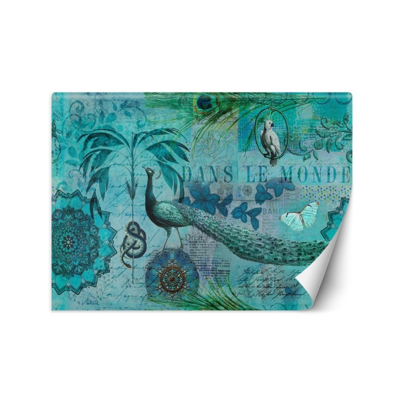 Original Wallpapers - Turquoise old postcard Andrea Haase | FEEBY