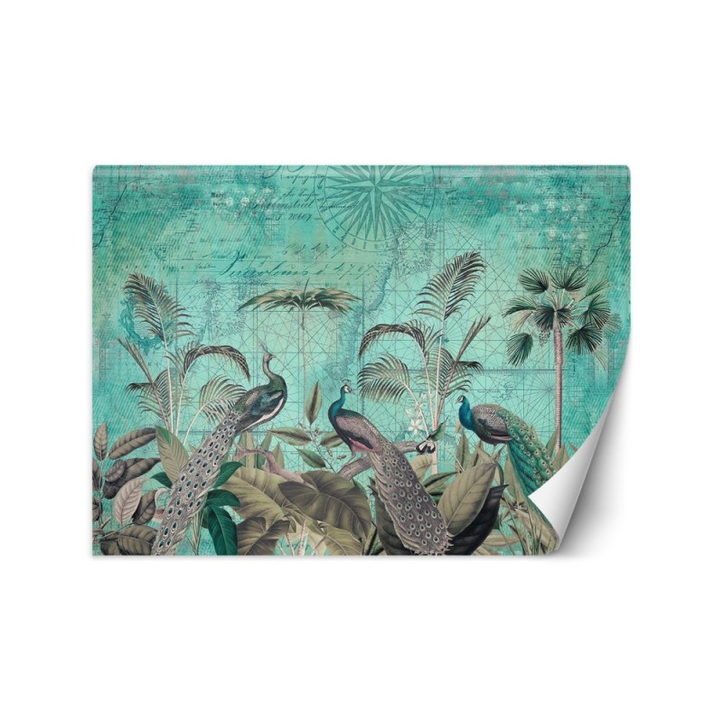Exclusive Wallpapers - Turquoise peacocks in leaves Andrea Haase | FEEBY