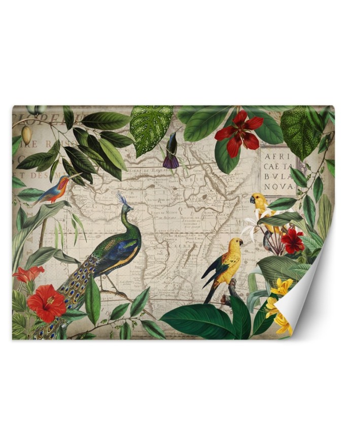 Wall mural Tropical Wild Birds