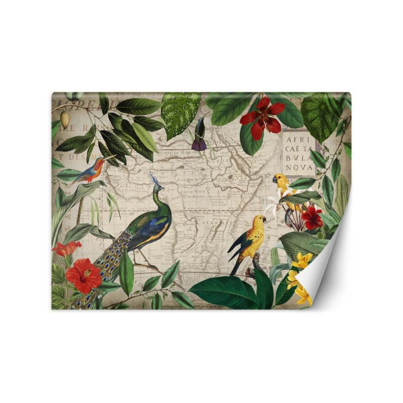 Exotic Wallpapers - Wild tropical birds Andrea Haase | FEEBY