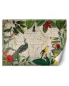 Exotic Wallpapers - Wild tropical birds Andrea Haase | FEEBY