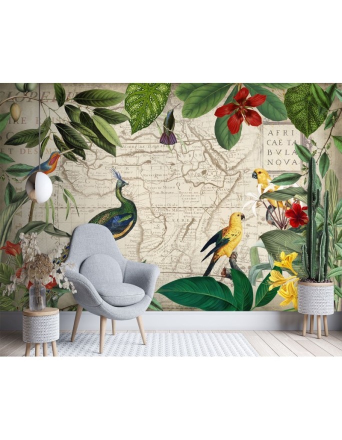 Exotic Wallpapers - Wild tropical birds Andrea Haase | FEEBY