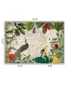 Exotic Wallpapers - Wild tropical birds Andrea Haase | FEEBY