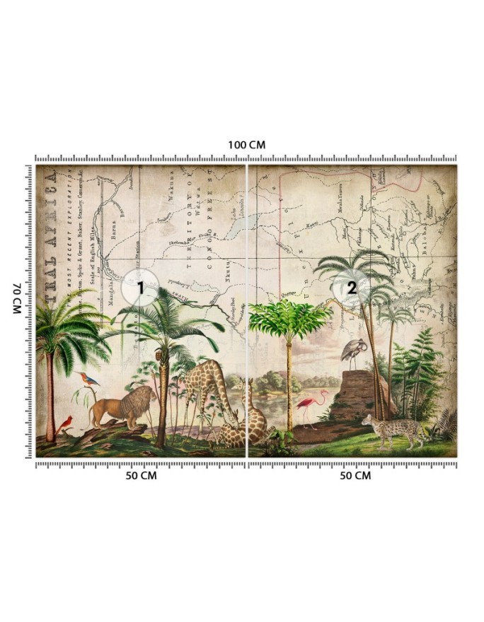 Designer Wallpapers - Wild animal walk Andrea Haase | FEEBY