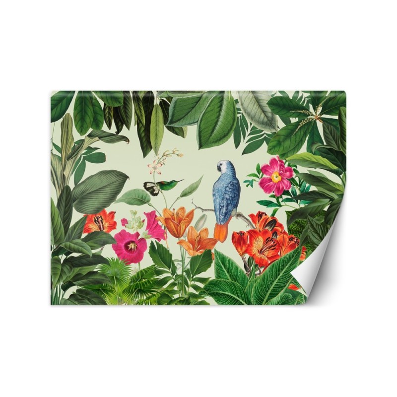 Exclusive Wallpapers - Secret of the wild garden Andrea Haase | FEEBY