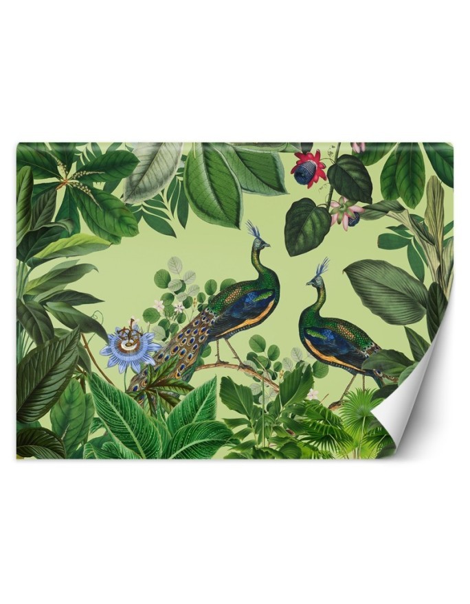 Original Wallpapers - Peacocks in a tropical park Andrea Haase | FEEBY